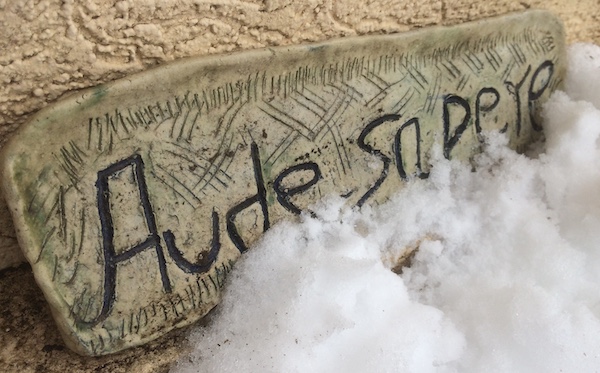 audesapere